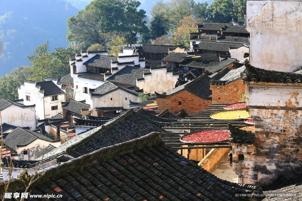 婺源风光 婺源风景