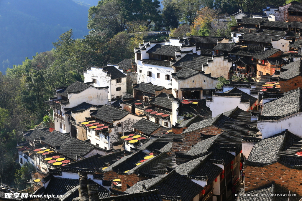 婺源风光 婺源风景