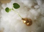 铜葫芦