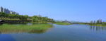 湿地公园