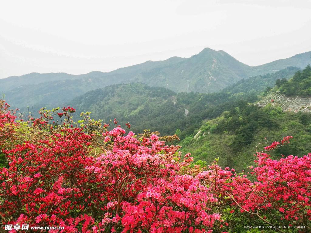云雾山风景区