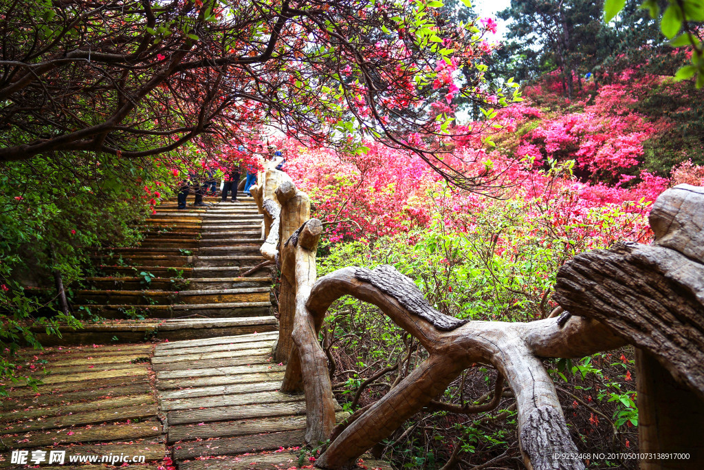 云雾山