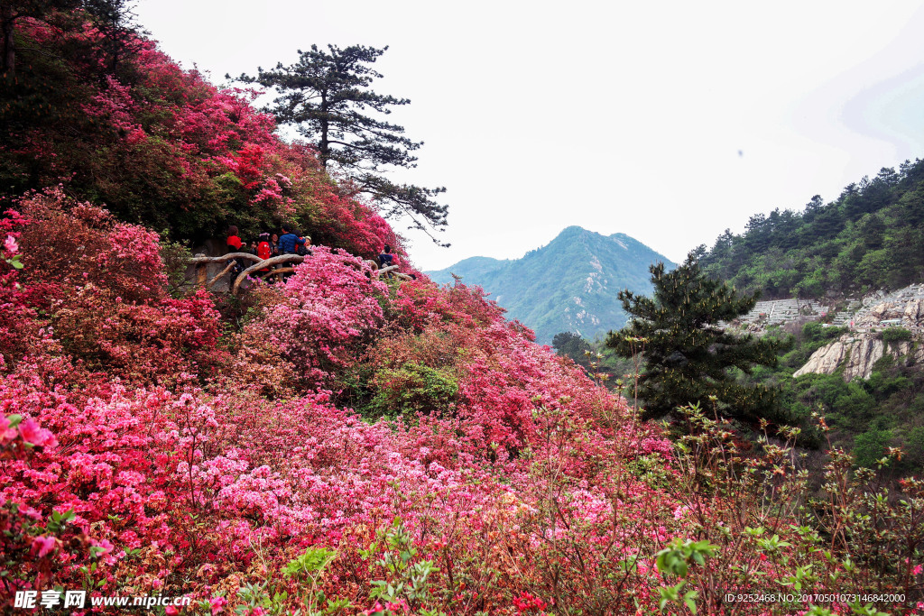 云雾山景区