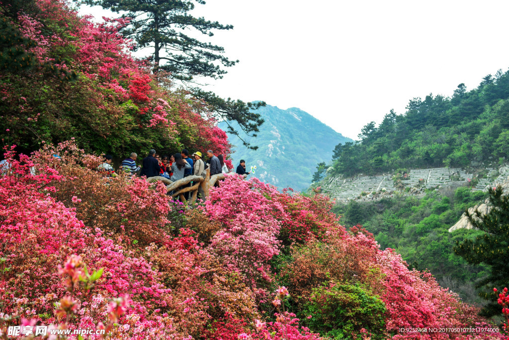 云雾山风景区