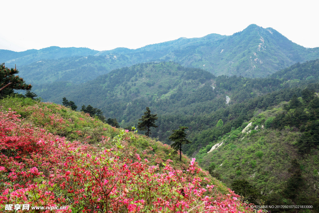 云雾山