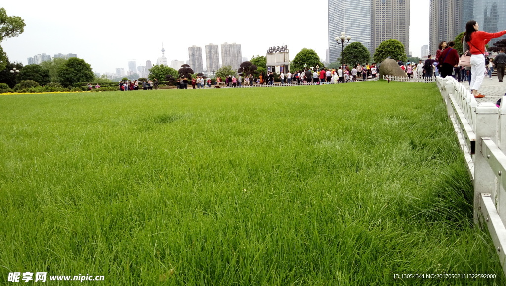 城市草坪