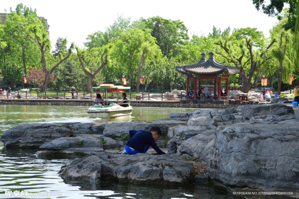 初夏陶然亭