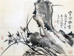 兰花