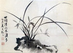 兰花