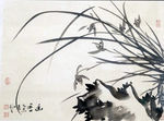 兰花