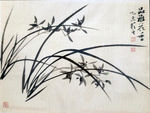 兰花