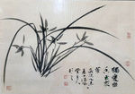 兰花
