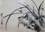兰花