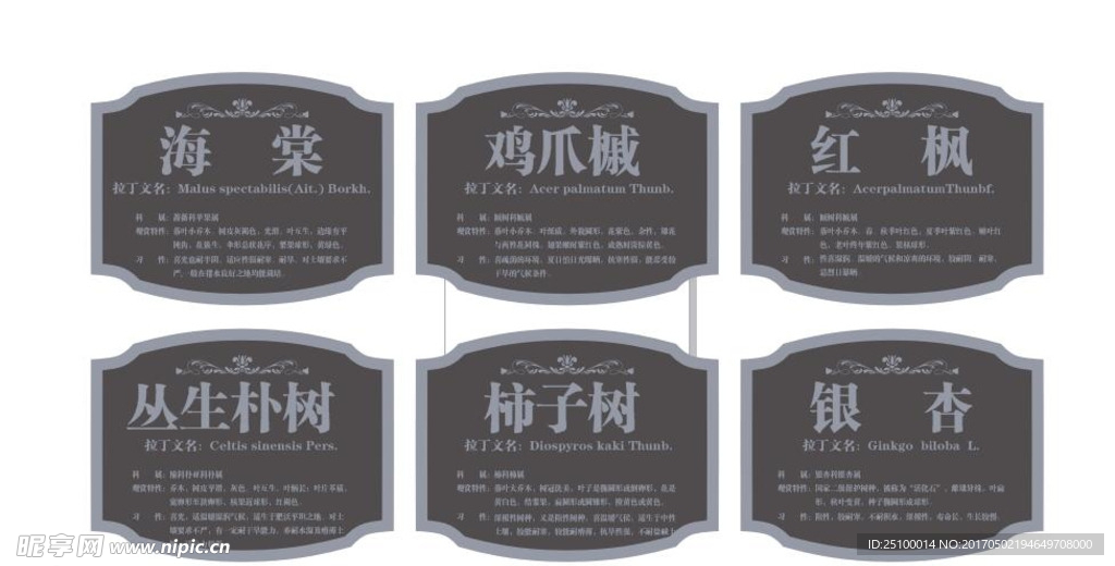 树名牌