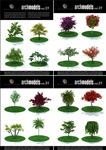 园林植物模型