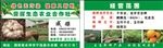 生态农业合作社