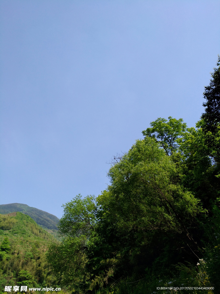 青山
