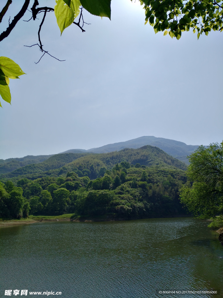 青山绿水