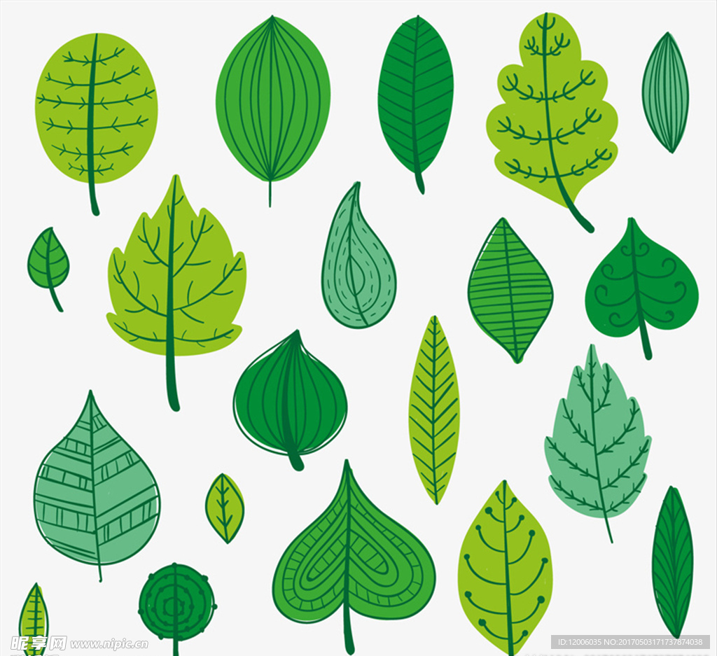 19款绿色树叶设计矢量图