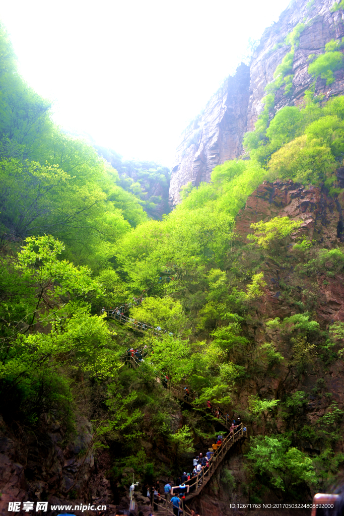 宝泉山林