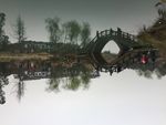 温江幸福村 水乡