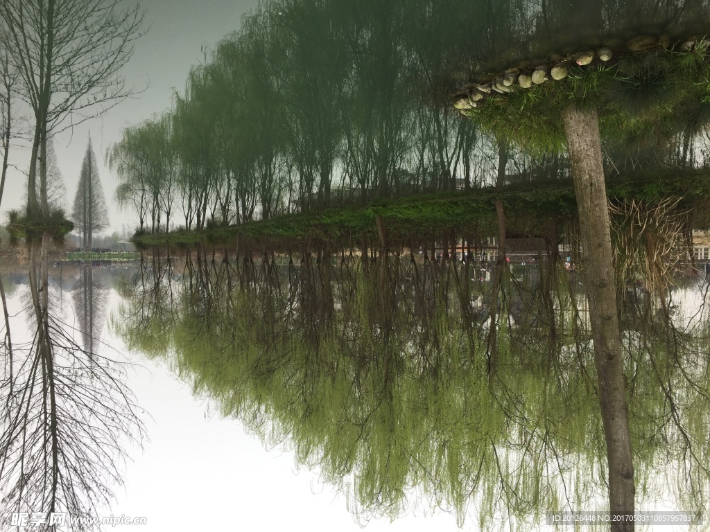 温江幸福村 水乡