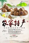 农家土特产特色餐饮美食宣传海报