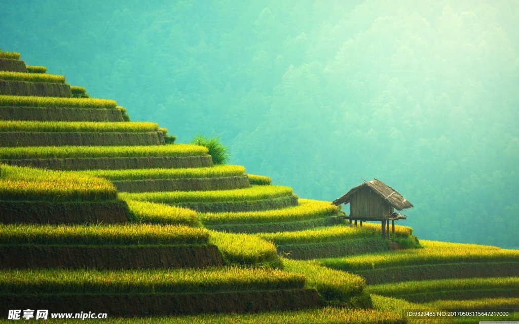 梯田