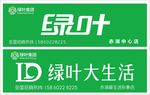 绿叶