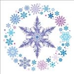 创意雪花环和冰晶矢量素材