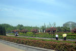 公园风景