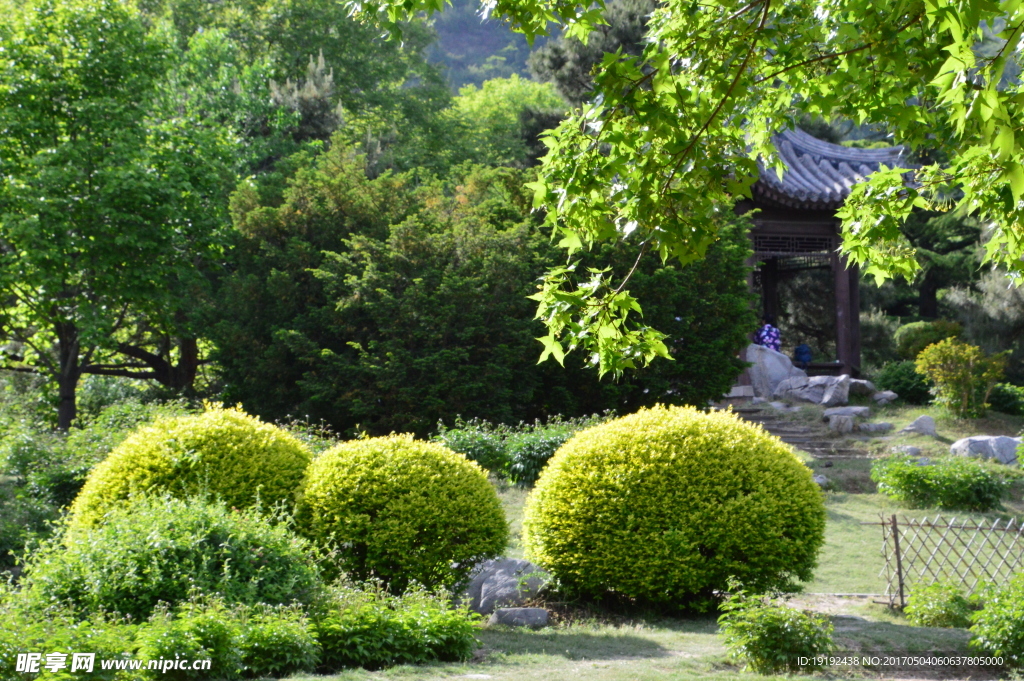 植物园美景