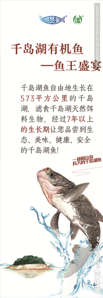 生鲜鱼模板