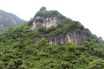 山