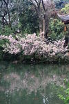浣花溪