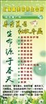 玉露鑫 展架 绿色 减肥 瘦身