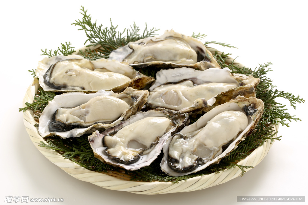 美味生蚝