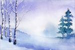 冬季雪景