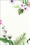 花朵素材