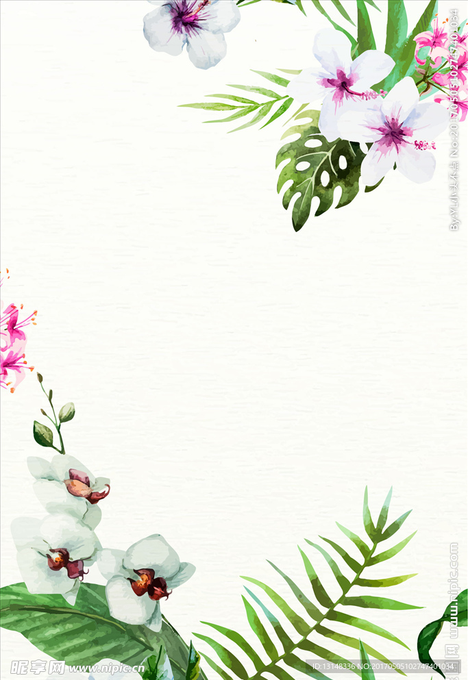 花朵素材