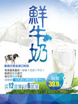 鲜牛奶