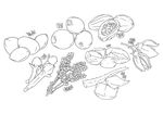 蔬菜