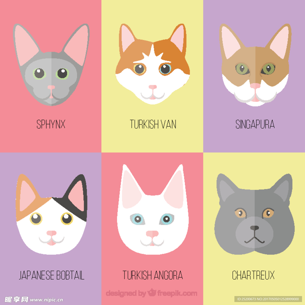 猫样的包