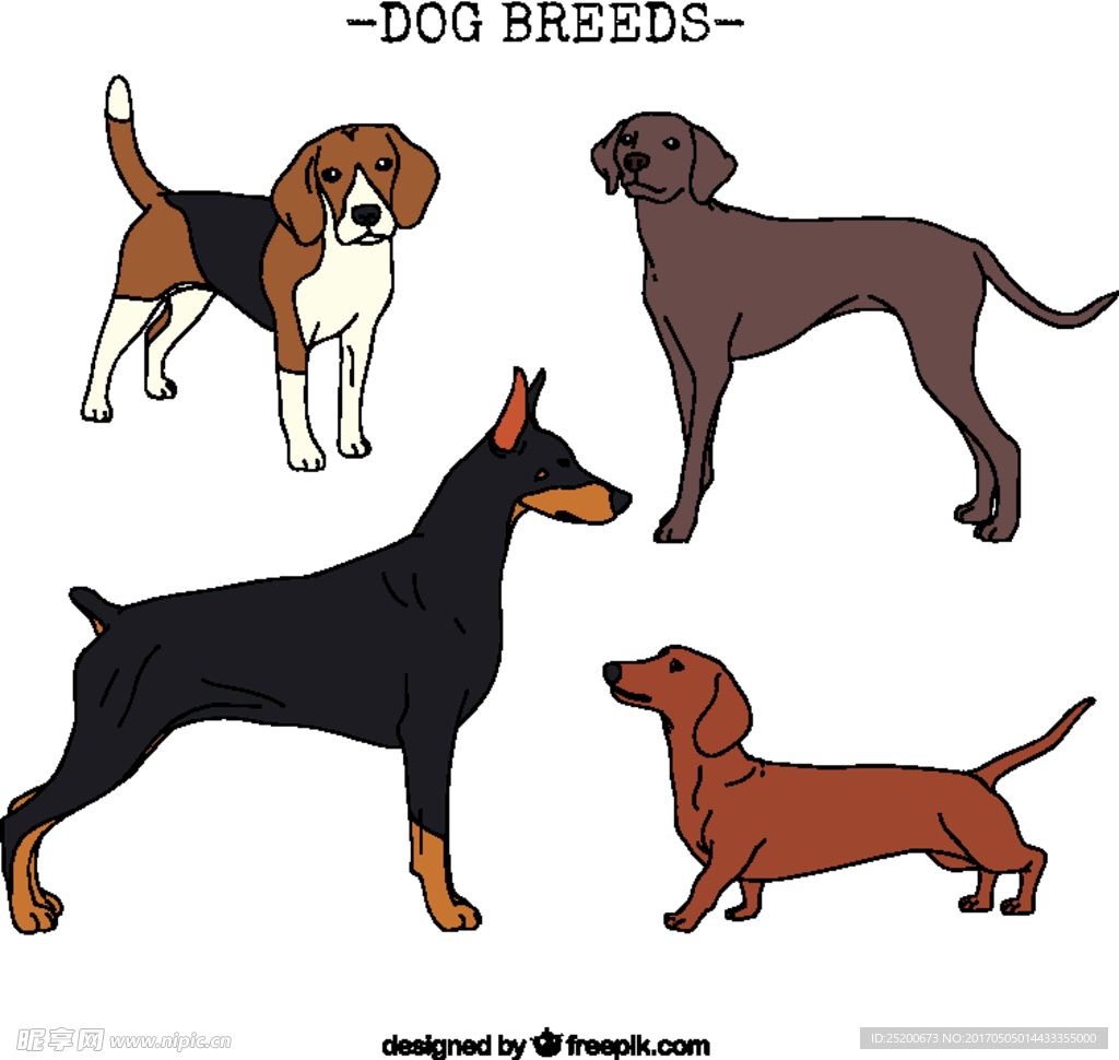 犬种收集