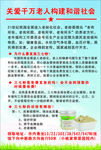 三七粉宣传彩页