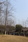 园林
