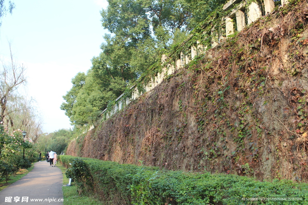 公园