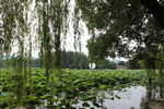西湖