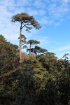 三清山