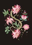 花朵花卉素材下载花朵绿叶素材